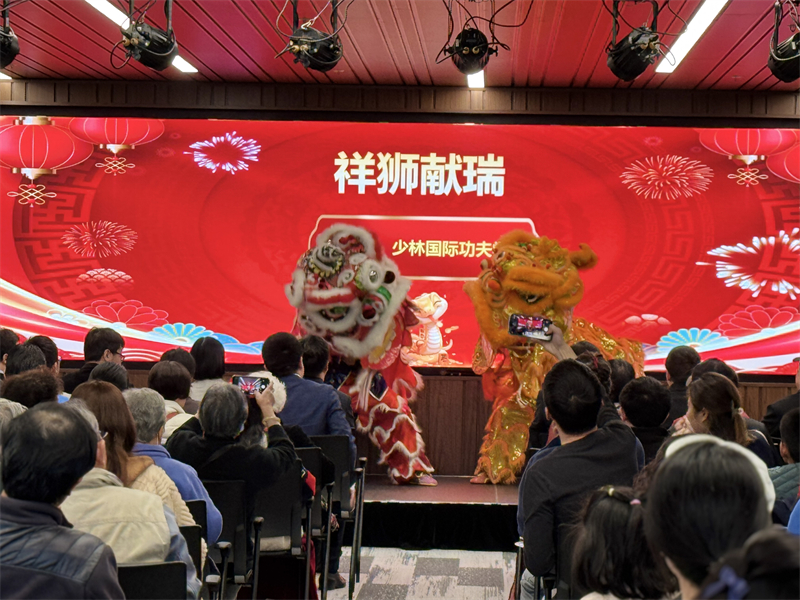 活動現場舞獅表演。主辦方供圖