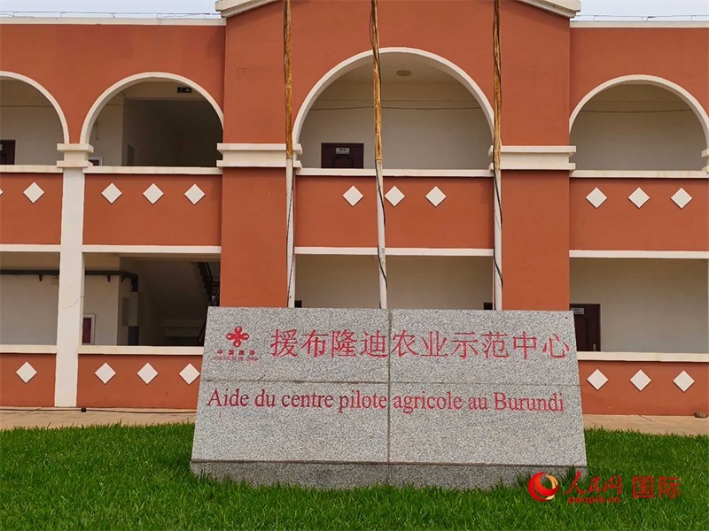 援布隆迪農(nóng)業(yè)示范中心。人民網(wǎng)記者 黃培昭攝