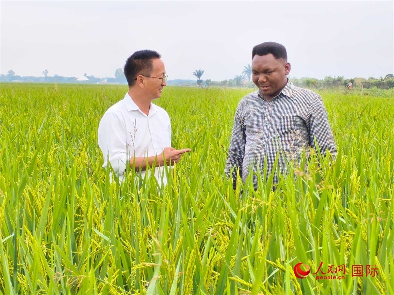 專家組組長(zhǎng)楊華德在與農(nóng)民學(xué)員交流。人民網(wǎng)記者黃培昭攝