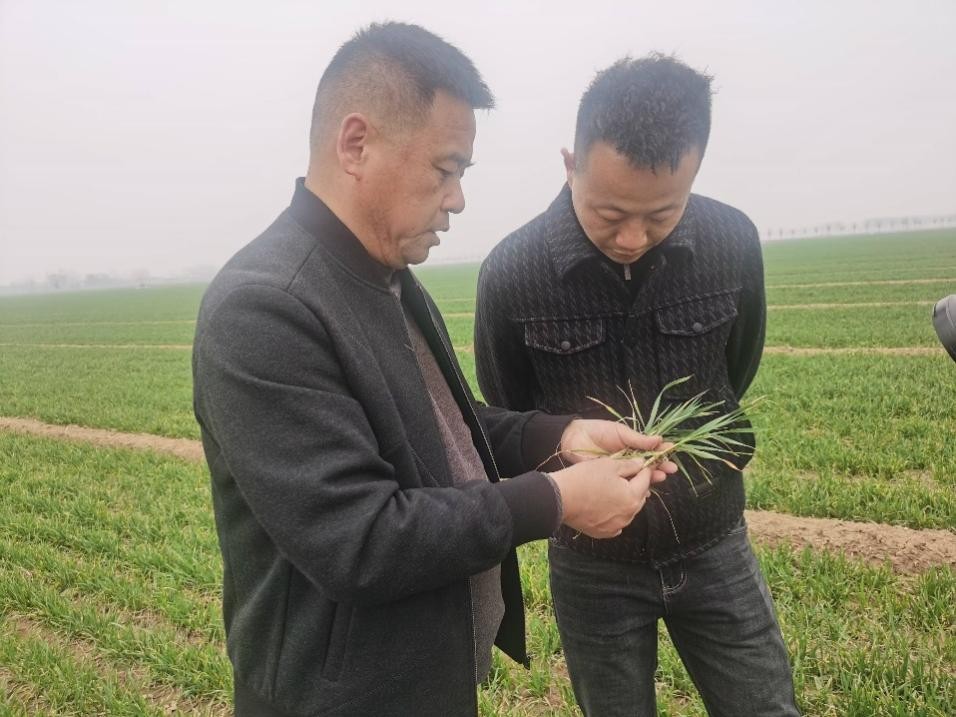 在山東濟(jì)寧汶上縣苑莊鎮(zhèn)，農(nóng)技員黃海龍對(duì)種糧大戶(hù)王振現(xiàn)場(chǎng)進(jìn)行春耕指導(dǎo)。人民網(wǎng)記者 車(chē)柯蒙攝