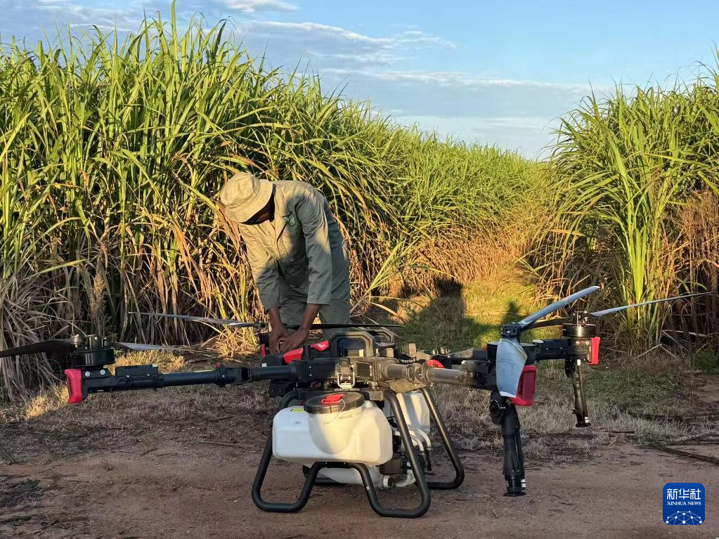 3月25日，在南非夸祖魯-納塔爾省的方廷希爾莊園，工作人員為無(wú)人機(jī)做起飛作業(yè)前的準(zhǔn)備。新華社記者 白舸 攝