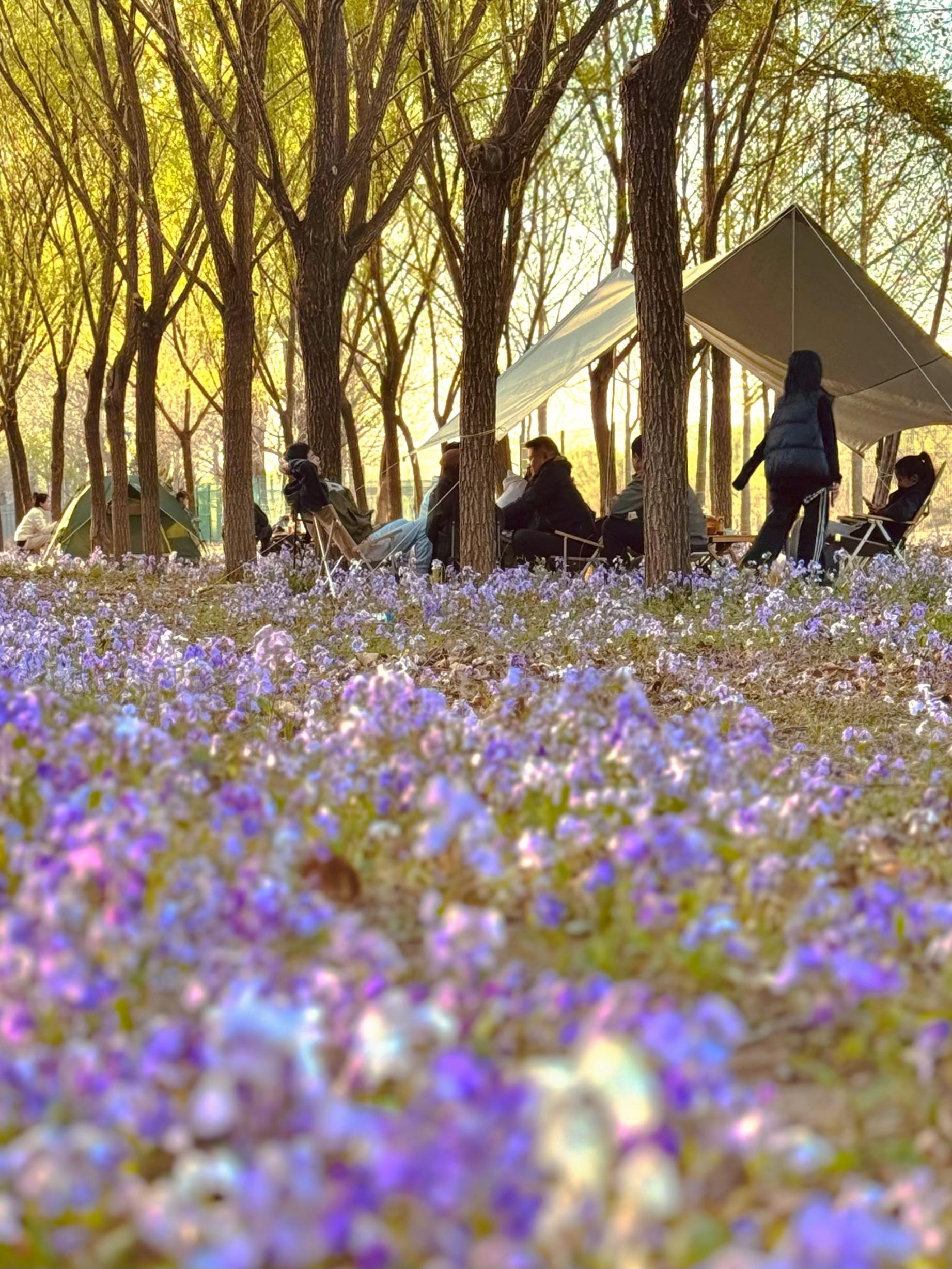 清明假期期間，范女士一家在北京溫榆河邊露營(yíng)。受訪者供圖