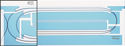 微波光量子傳感器的光學(xué)顯微照片。圖片來源：美國哈佛大學(xué)