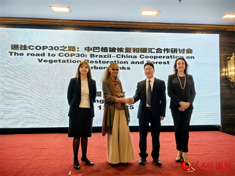中國國家林業(yè)和草原局副局長李云卿（右二）、巴西環(huán)境和氣候變化部部長瑪麗娜·席爾瓦（左二）、巴西財(cái)政部副部長羅熙丹（右一）、巴西駐華大使館公參樂美（左一）出席“通往COP30之路：中巴植樹造林和碳匯合作研討活動”。人民網(wǎng)記者 符園園攝
