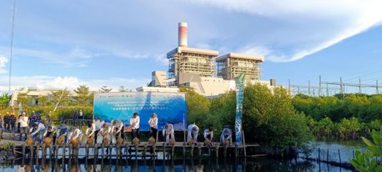 5月18日，中印尼嘉賓在爪哇7號(hào)燃煤電站舉行紅樹林補(bǔ)植儀式。記者 曹凱 攝