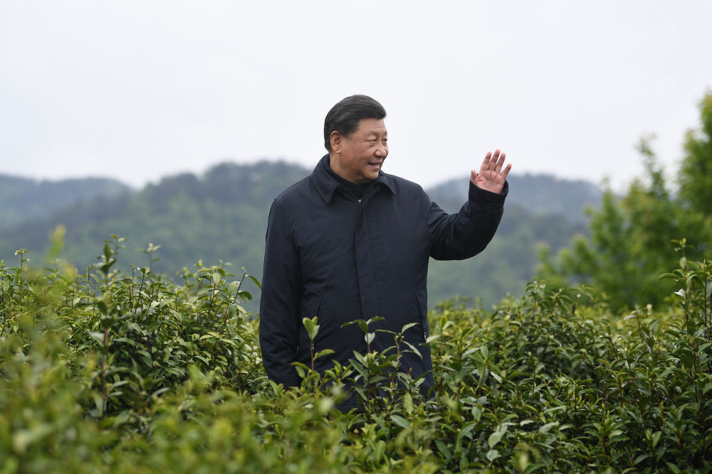 2020年4月21日，習近平總書記來到陜西安康市平利縣老縣鎮(zhèn)，在茶園考察脫貧攻堅情況。新華社記者 燕雁 攝