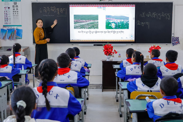 2024年9月27日，在四川省甘孜藏族自治州道孚縣城關(guān)第一完全小學(xué)，采取“藏加模式”教學(xué)的五年級一班的藏語文課上，準(zhǔn)木周老師指導(dǎo)藏族學(xué)生以家鄉(xiāng)草原風(fēng)物為主題寫作藏語文作文。新華社記者 沈伯韓 攝